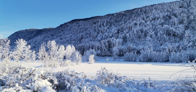 montagnes enneigées