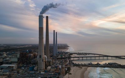 Pollution des sols