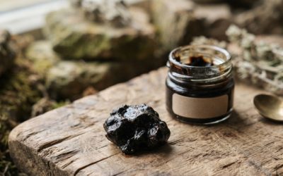 Primal Shilajit