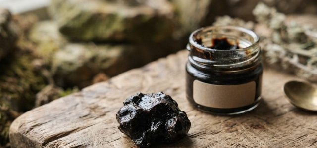 Primal Shilajit : découvrez son efficacité et nos avis pour optimiser votre bien-être